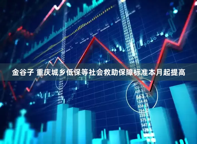 金谷子 重庆城乡低保等社会救助保障标准本月起提高